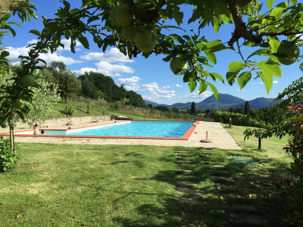 Agricola Caicucci Montone (Umbria) Quarto foto