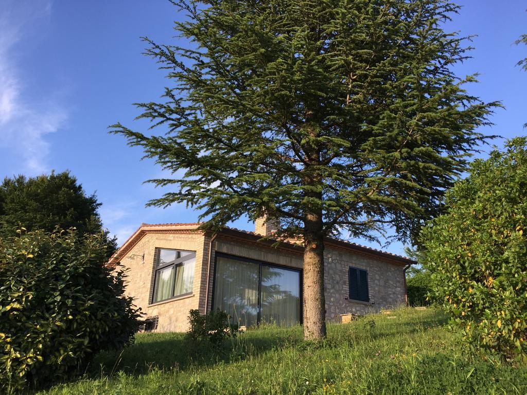 Agricola Caicucci Montone (Umbria) Quarto foto